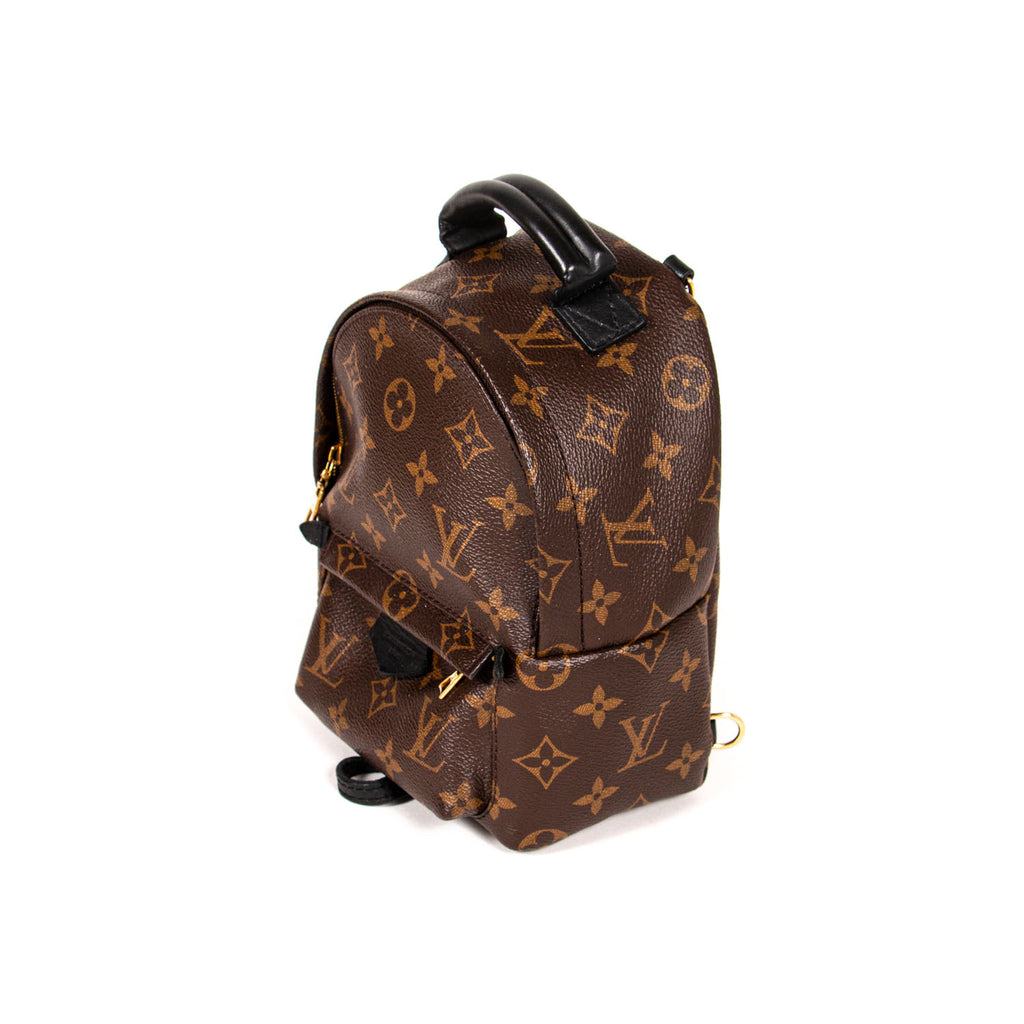 Louis Vuitton Palm Springs Mini Backpack