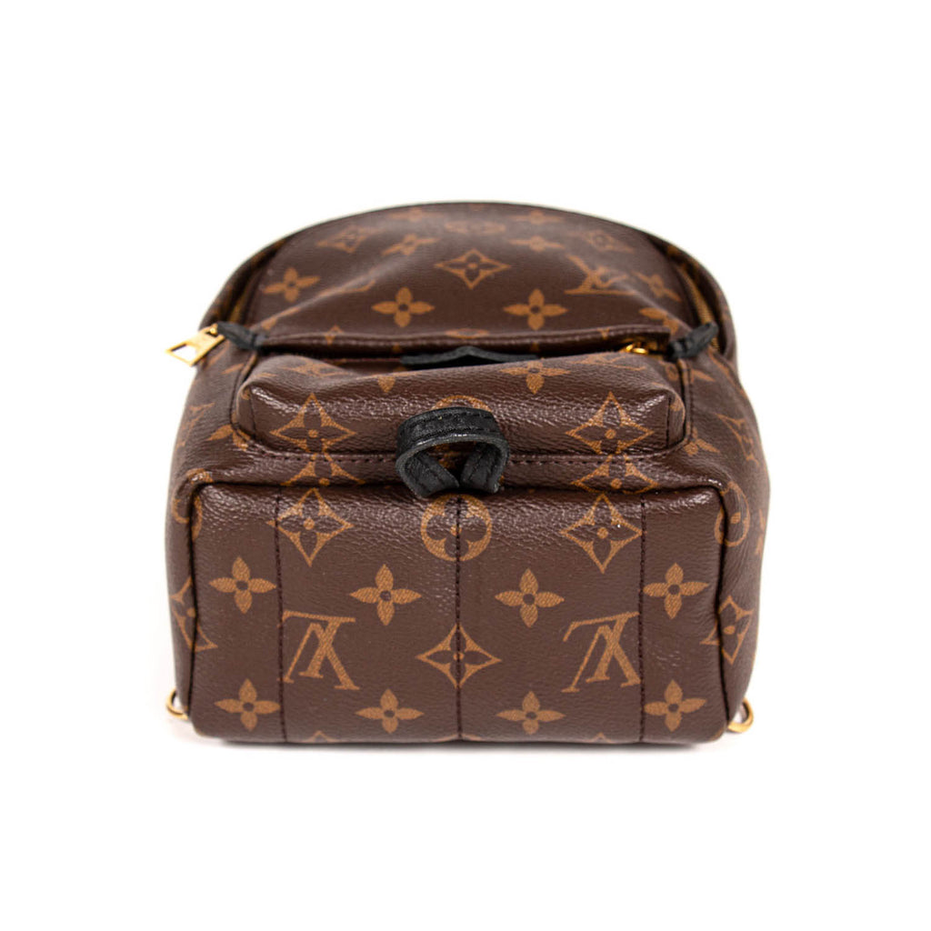 Louis Vuitton Palm Springs Mini Backpack