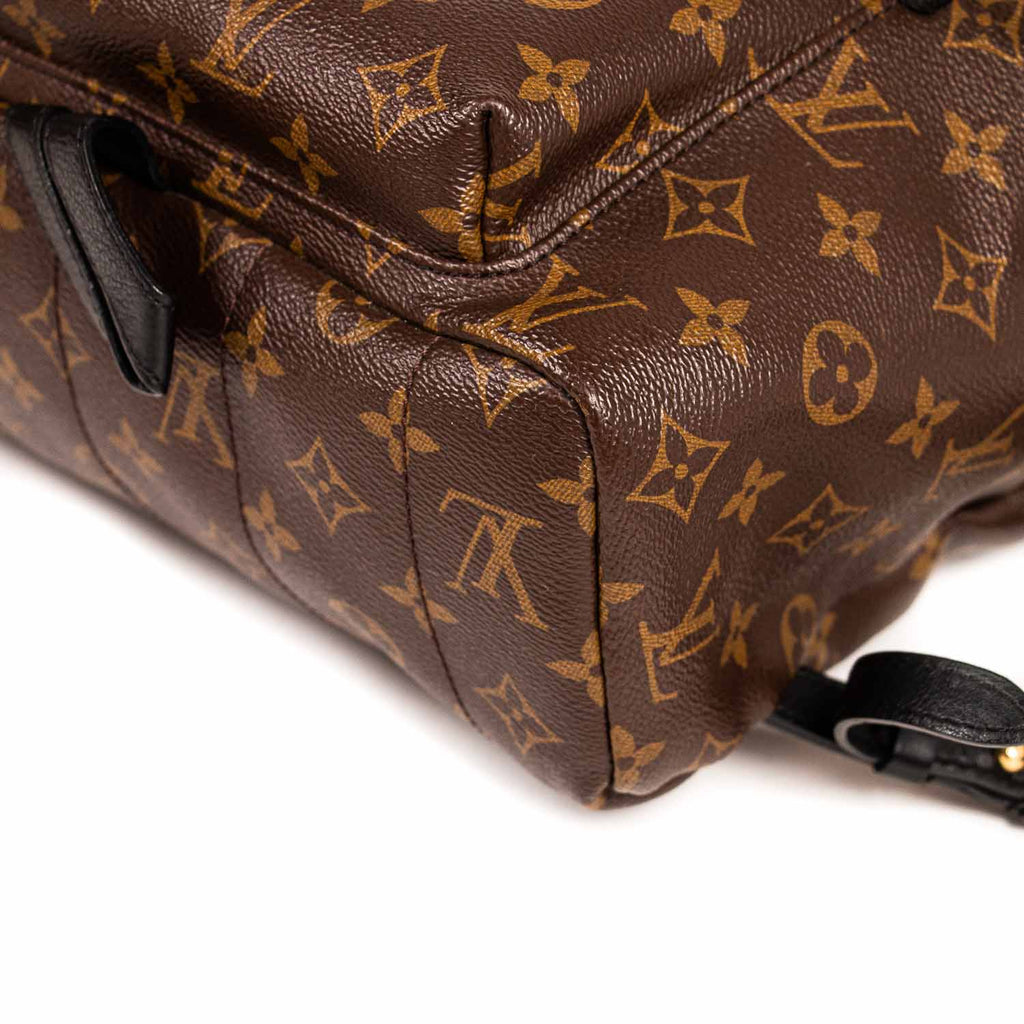 Louis Vuitton Palm Springs Backpack PM